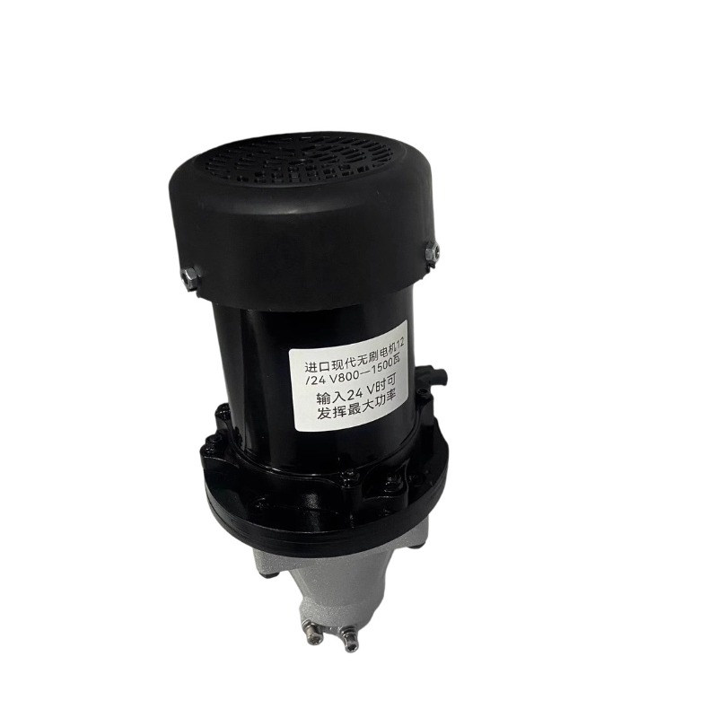 12-60V 500-1500W Brushless Out - Fishing Boat Outboard Motor のレビューと価格
